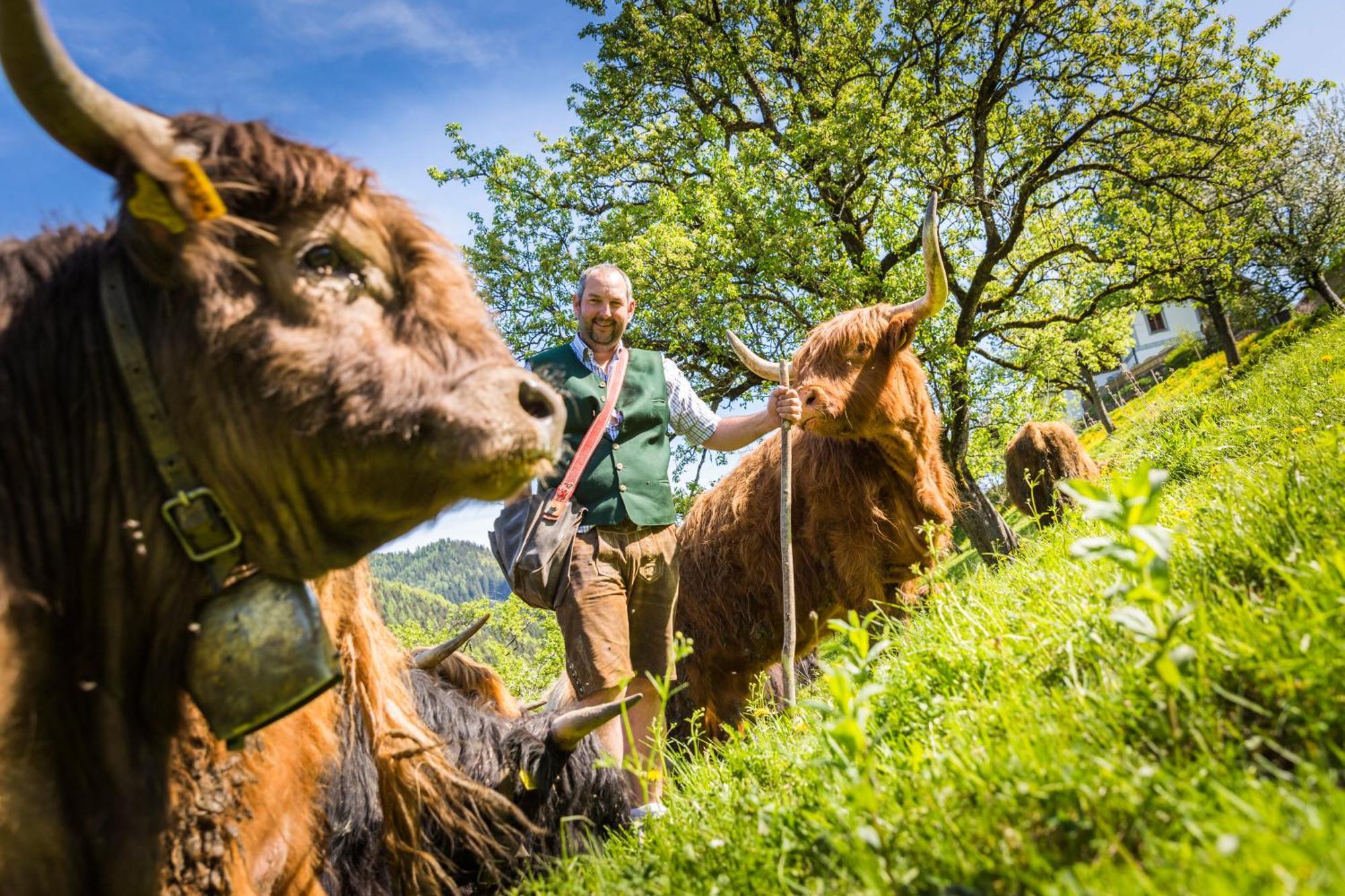Biobauernhof Lacken Strohmarkt Eksteriør billede